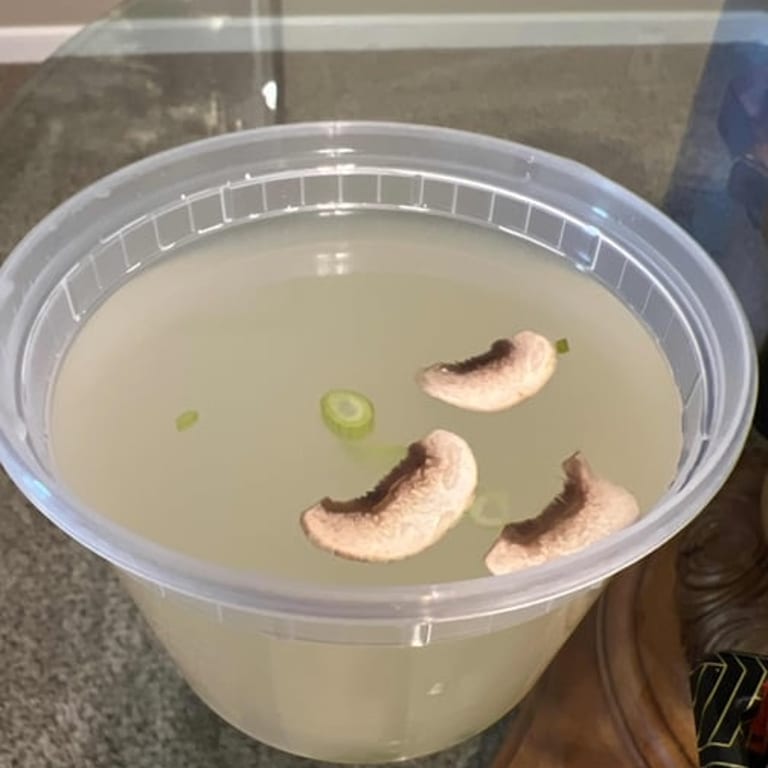 Delicious Hibachi Clear Soup: A Japanese Delight