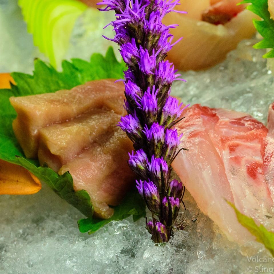 Close-up of fresh sashimi slices and green leaves on ice, garnished with a vibrant purple flower.